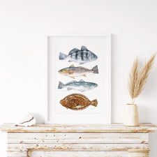 Inshore Saltwater Fish Teir Print