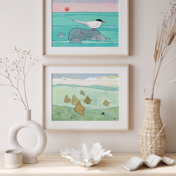 Cownose Stingray Print