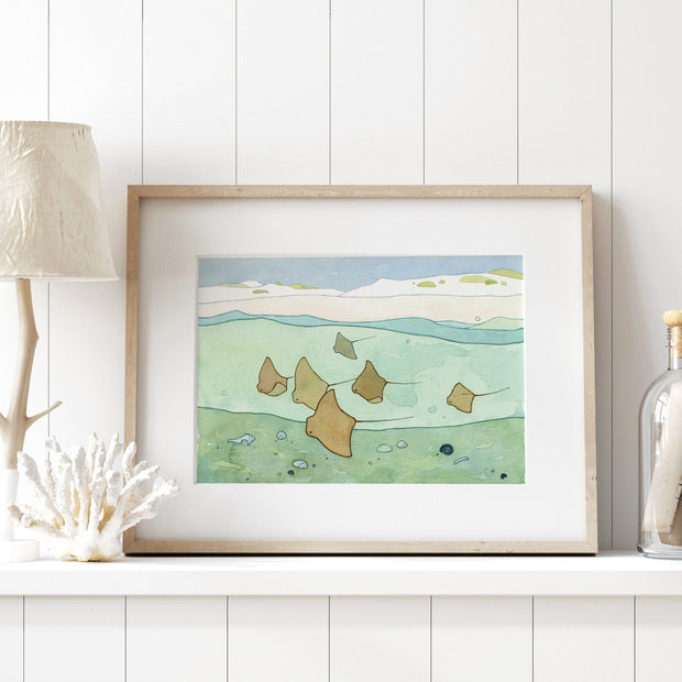 Cownose Stingray Print