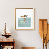Ruddy Turnstone Print