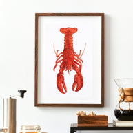 Red Lobster Print