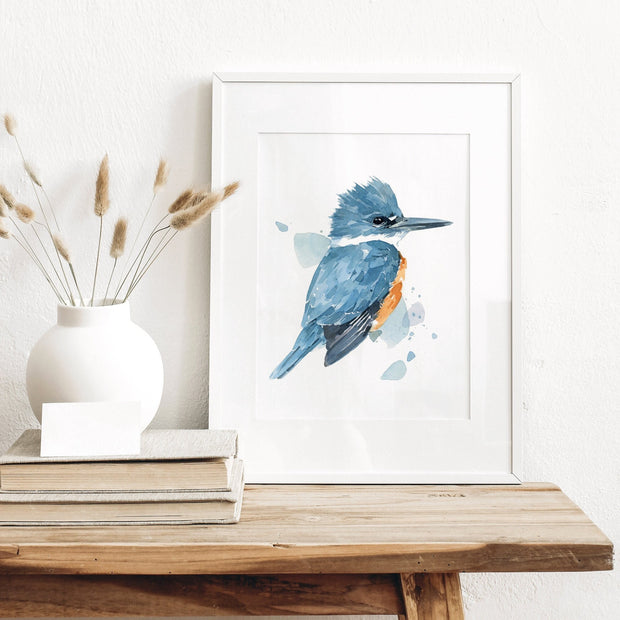 Belted Kingfisher Print