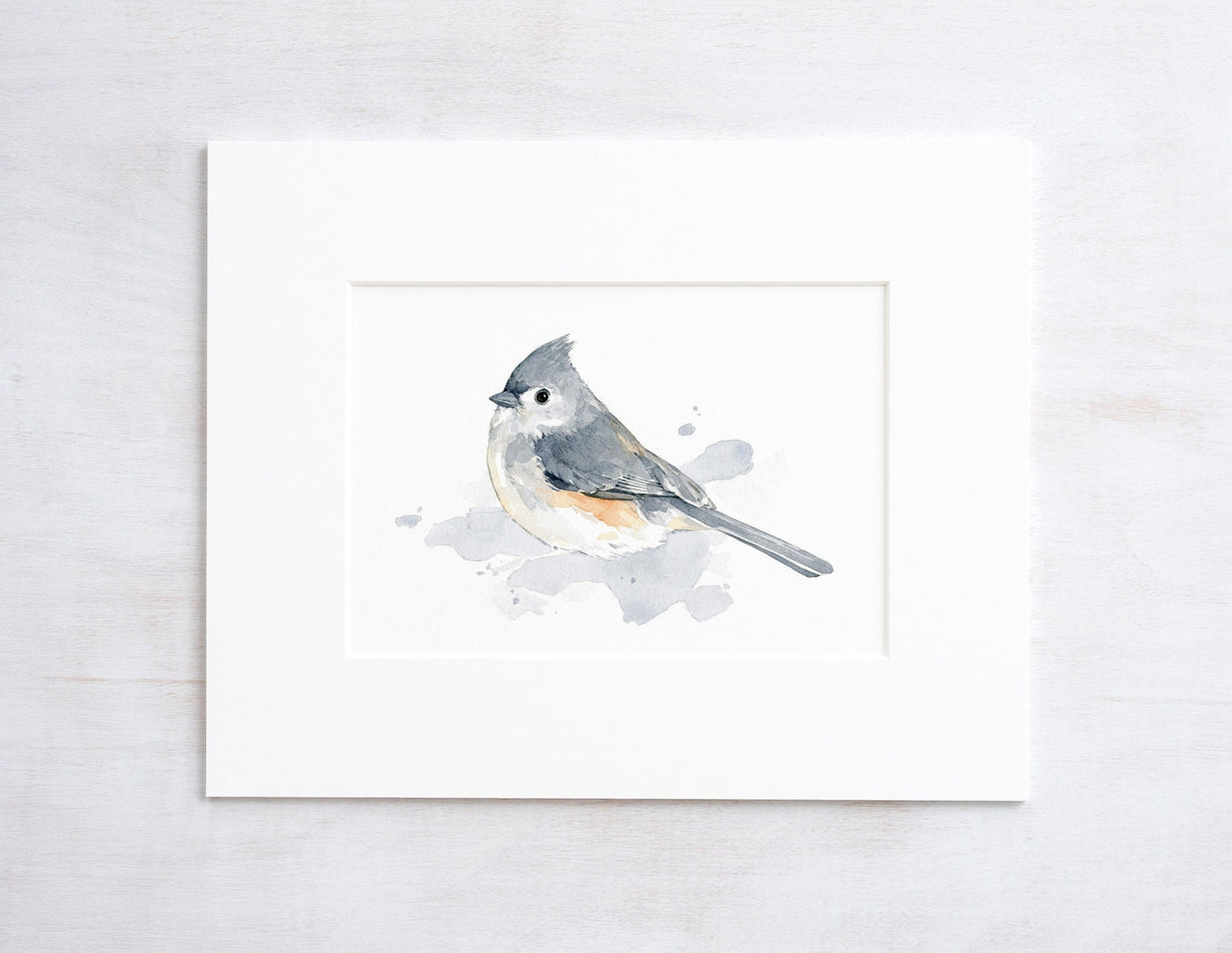 Tufted Titmouse Bird Print