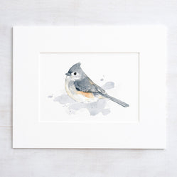 Tufted Titmouse Bird Print