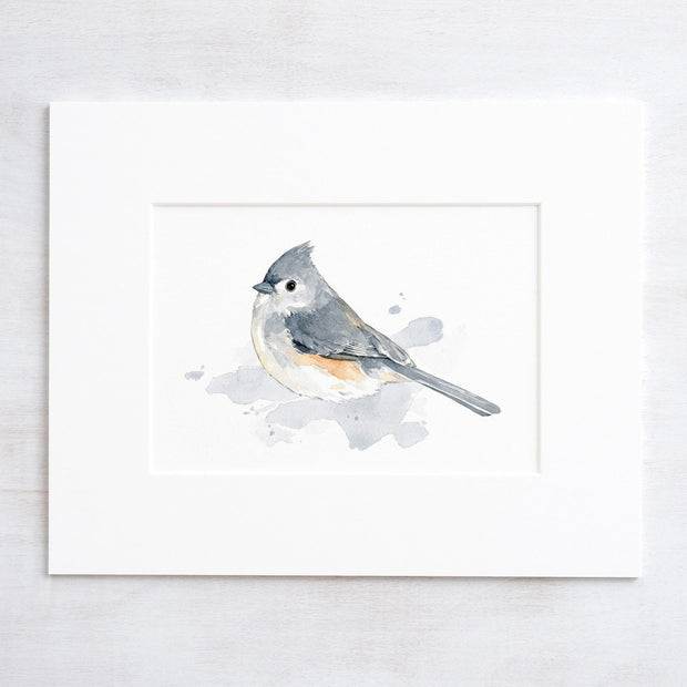 Tufted Titmouse Bird Print