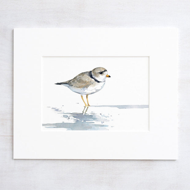 Piping Plover Print