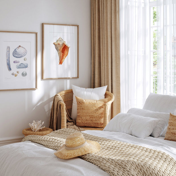 Orange Whelk Shell Print