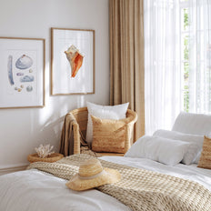 Clam Shells Print