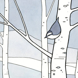 Nuthatch and Aspens Winter Illustration Print Kids Wall Art