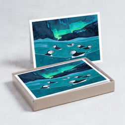 Puffins Northern Lights Card Set