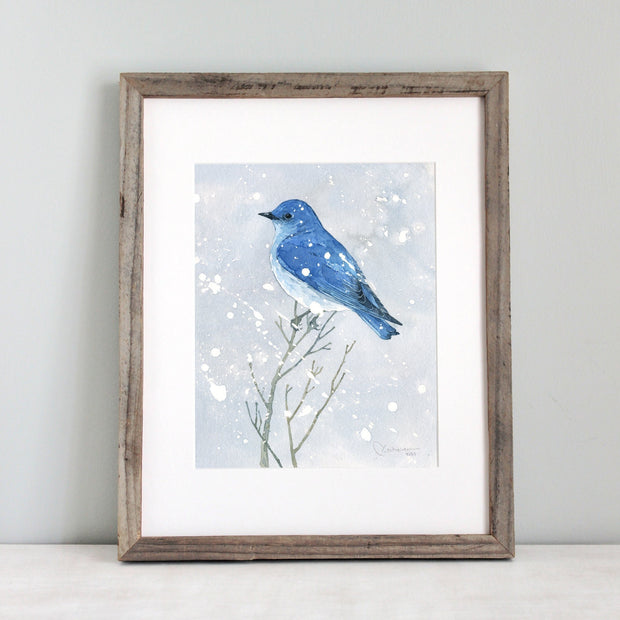 Mountain Bluebird in Snow Print
