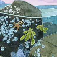 Tidepool Art Print
