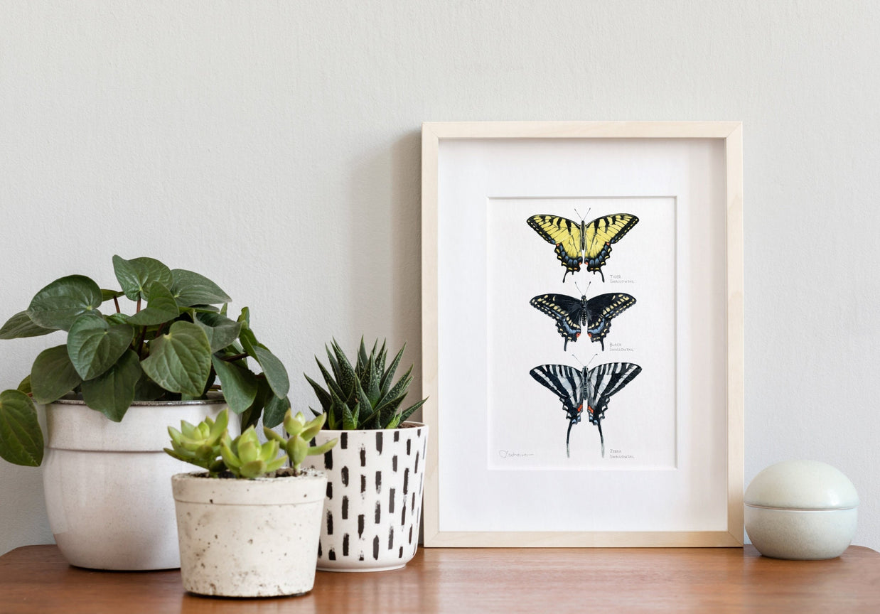 Swallowtail Butterflies Art Print