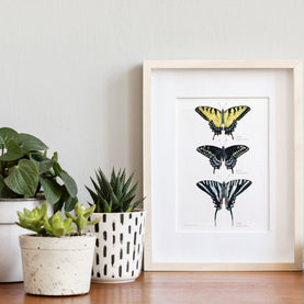 Swallowtail Butterflies Art Print