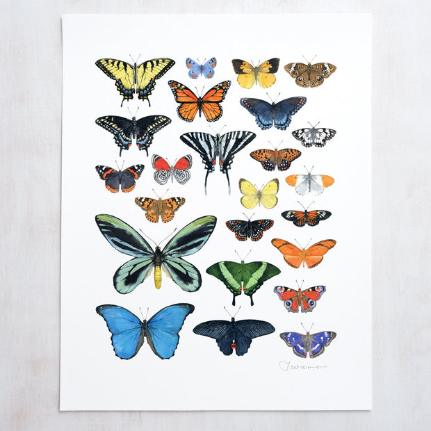 Butterflies Chart Print