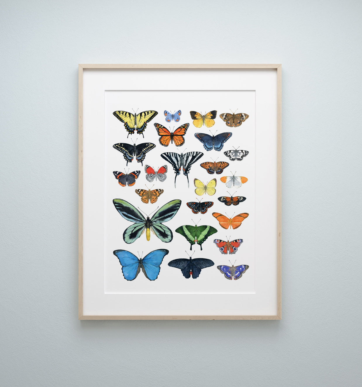 Butterflies Chart Print