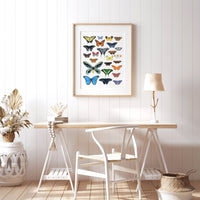 Butterflies Chart Print