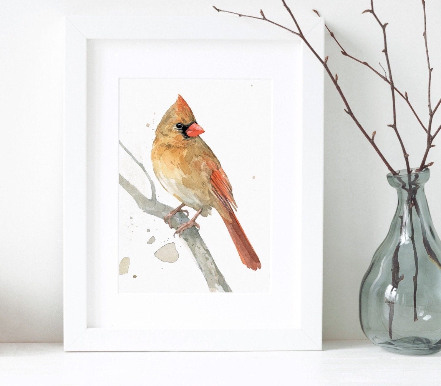 Female Cardinal on Branch Print
