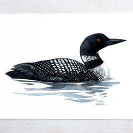 Loon Art Print