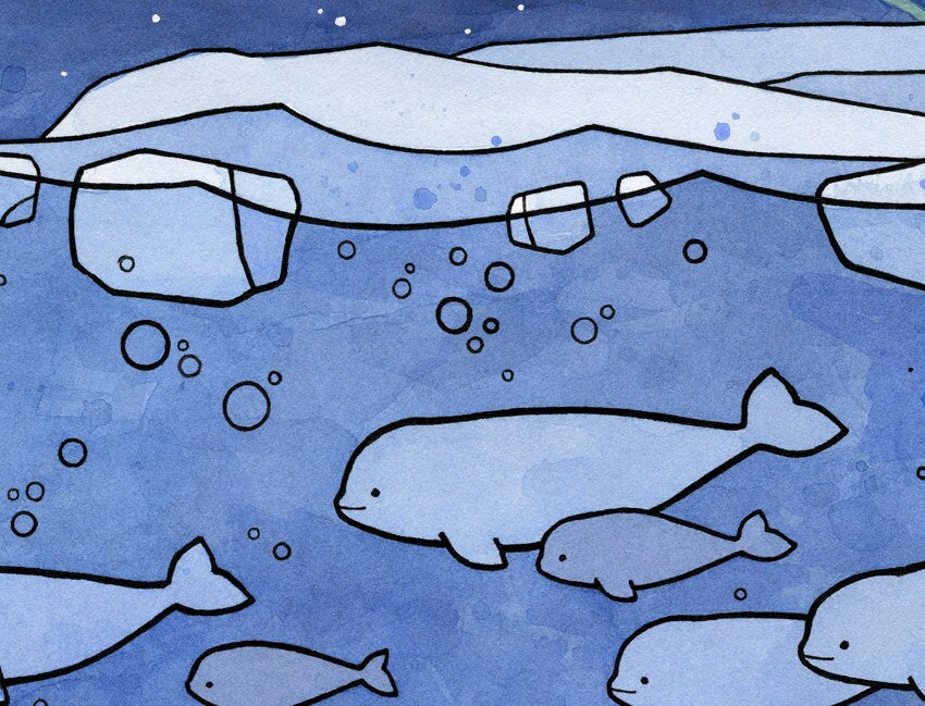 Belugas and Aurora Illustration Arctic Animal Print