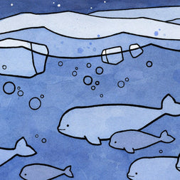Belugas and Aurora Illustration Arctic Animal Print