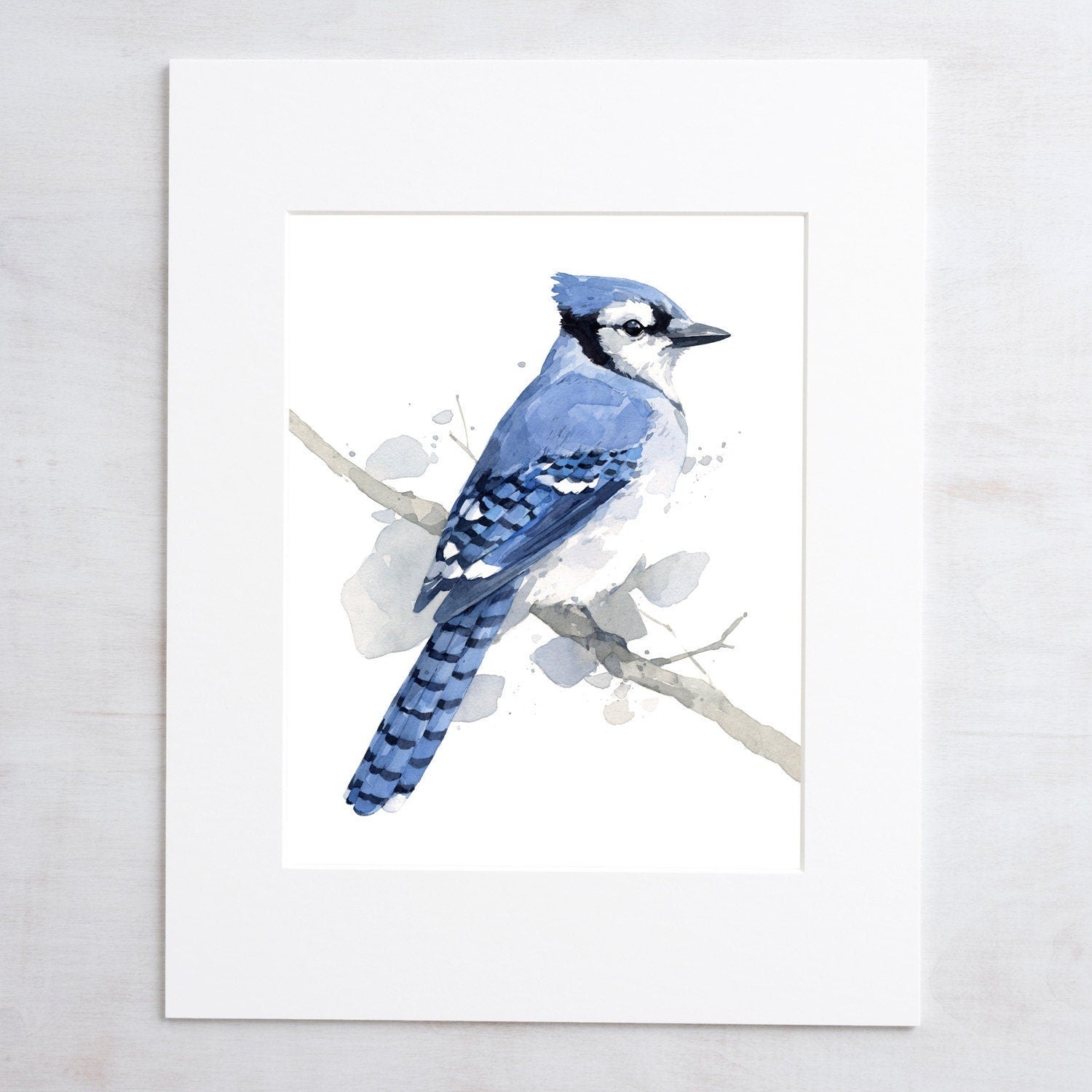 Blue Jay on Branch Print