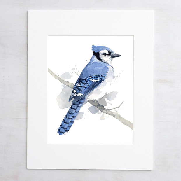 Blue Jay on Branch Print