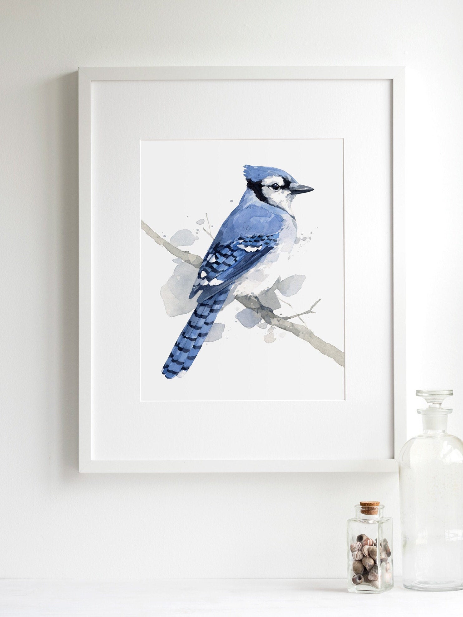 Blue Jay on Branch Print