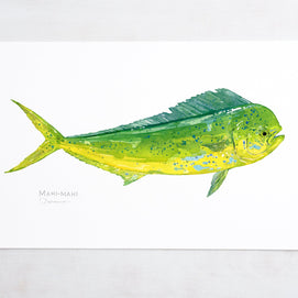 Mahi-Mahi Fish Print