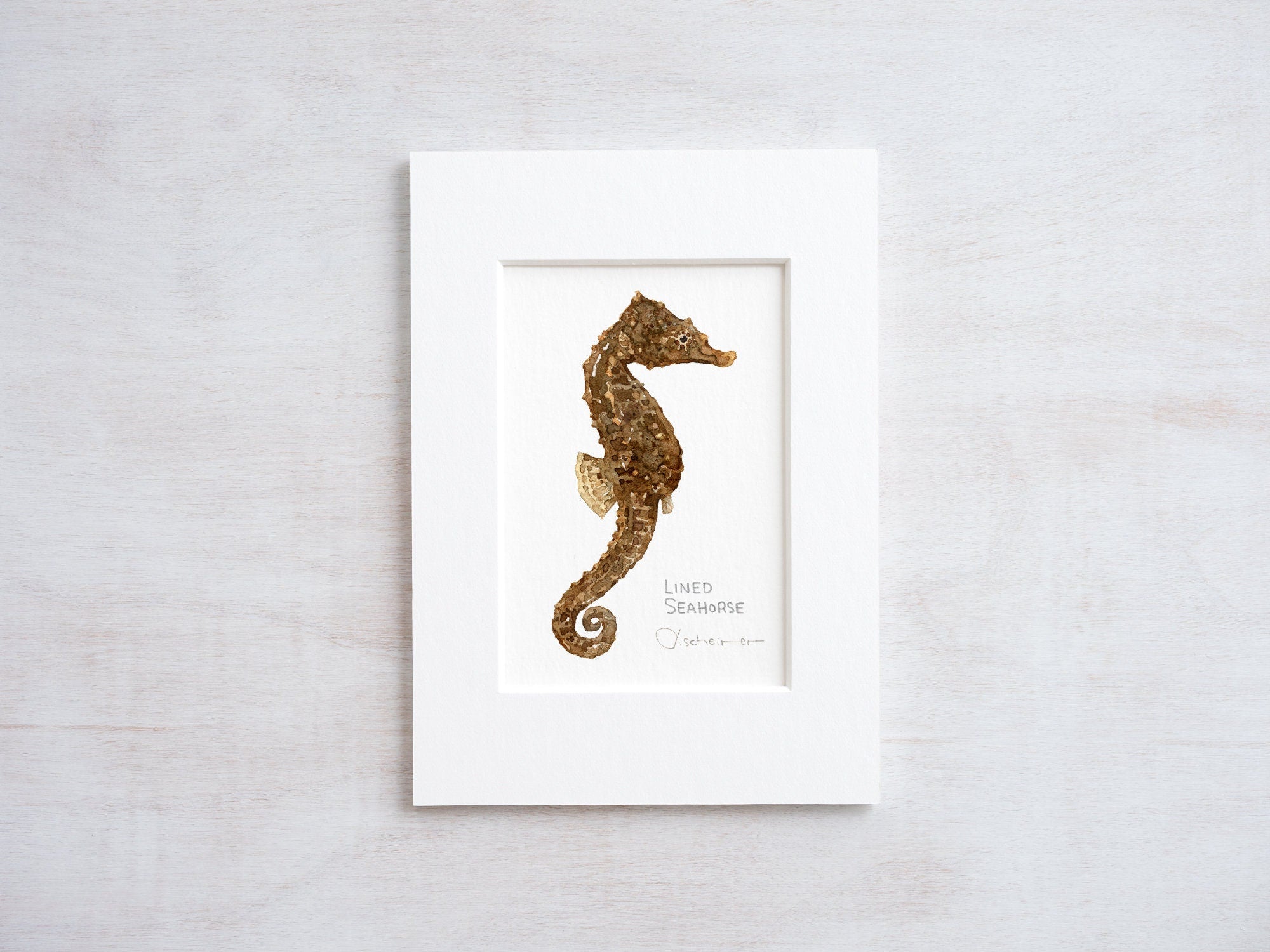 Lined Seahorse Print