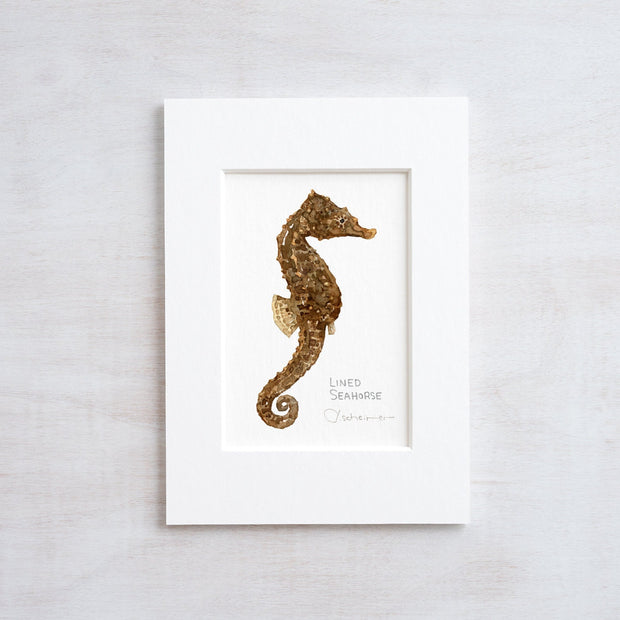 Lined Seahorse Print