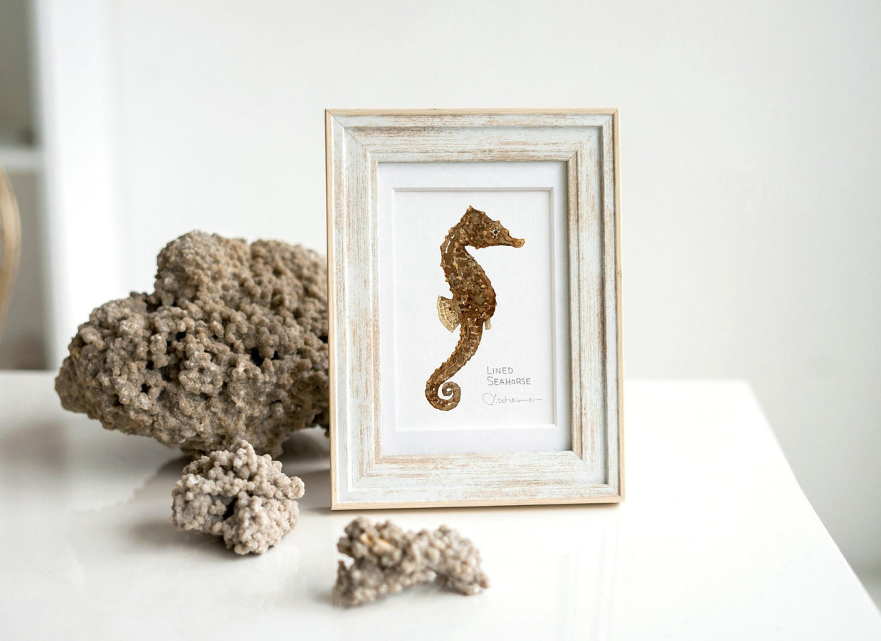 Lined Seahorse Print