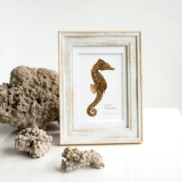 Lined Seahorse Print