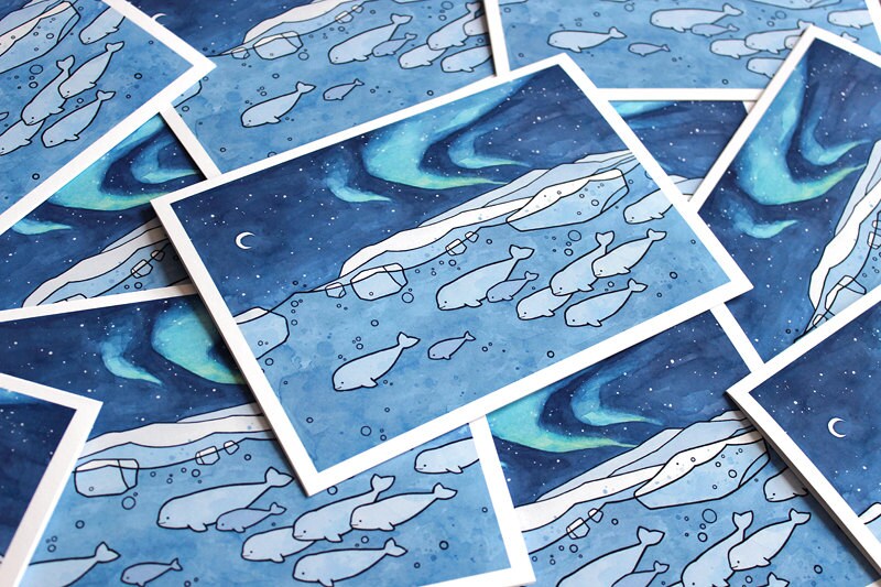 Belugas Arctic Northern Lights Holiday Card Set