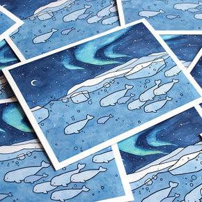 Belugas Arctic Northern Lights Holiday Card Set