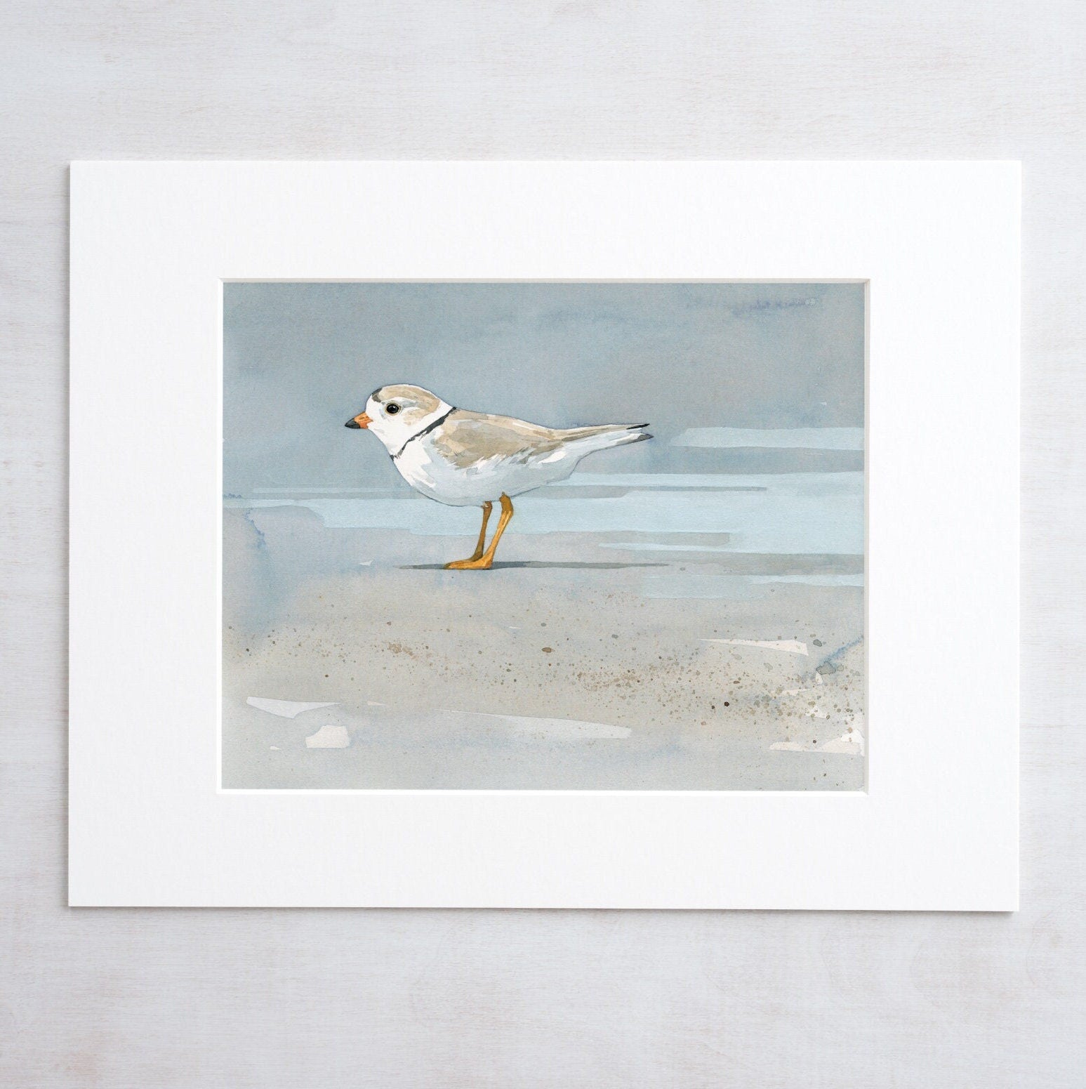 Piping Plover Beach Print