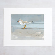 Piping Plover Beach Print
