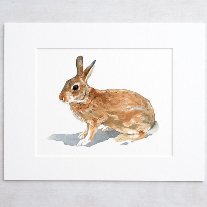 Wild Rabbit Print