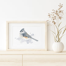 Tufted Titmouse Bird Print