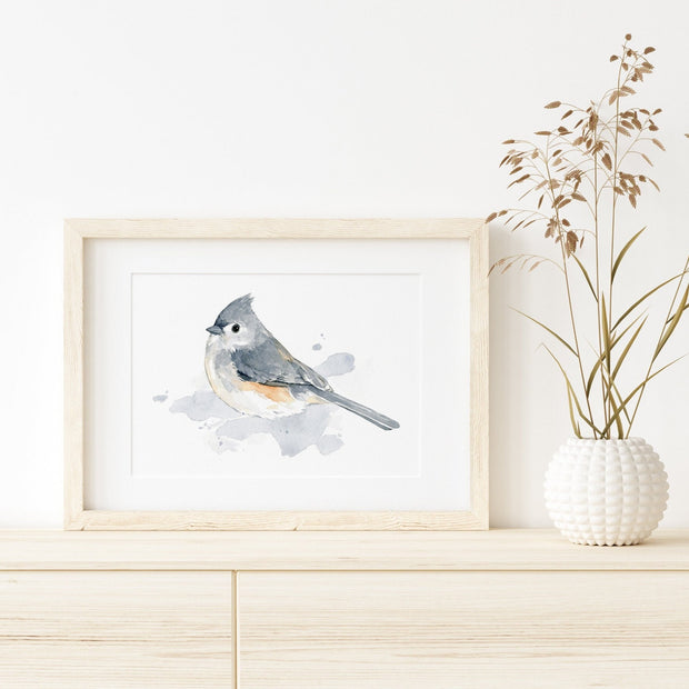 Tufted Titmouse Bird Print