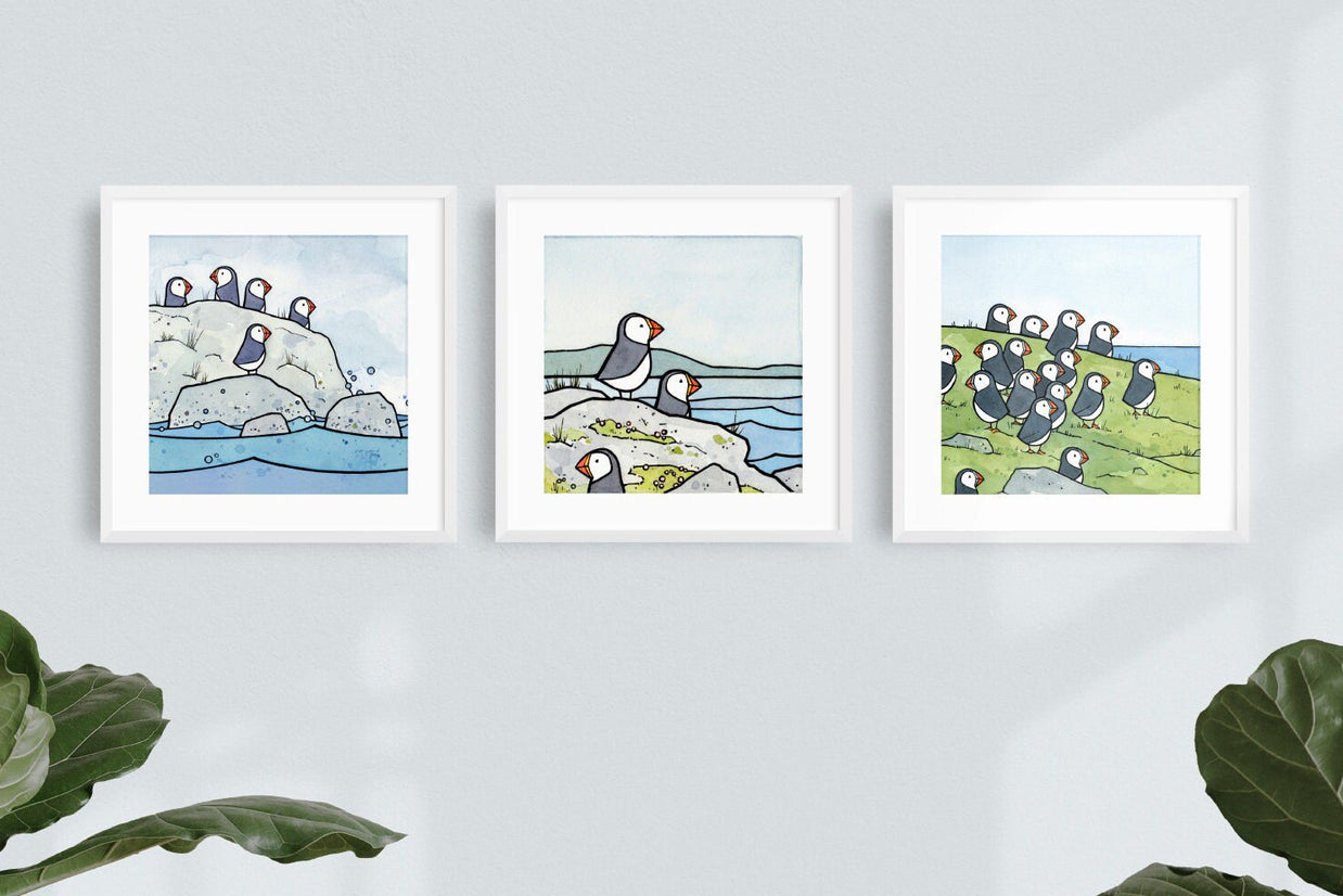 Puffins Illustration Three 5x5" Print Set