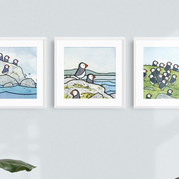 Puffins Illustration Three 5x5" Print Set