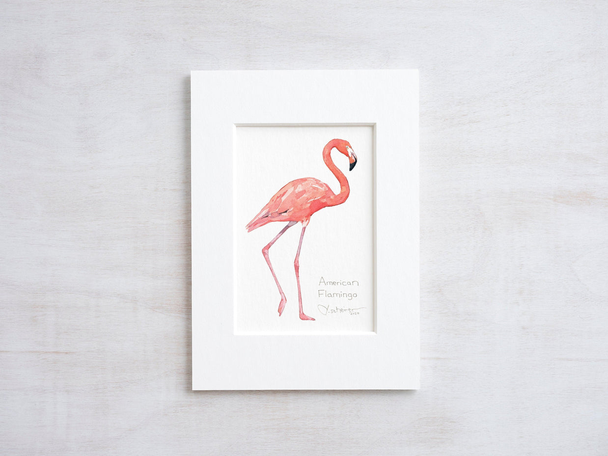 Flamingo Art Print