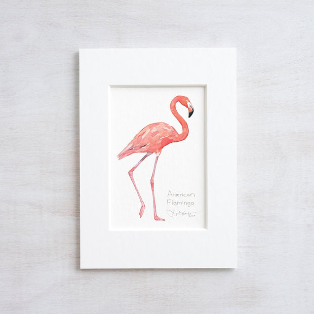 Flamingo Art Print