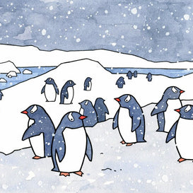 Gentoo Penguins Card