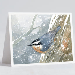 Winter Birds Watercolor Card Set II