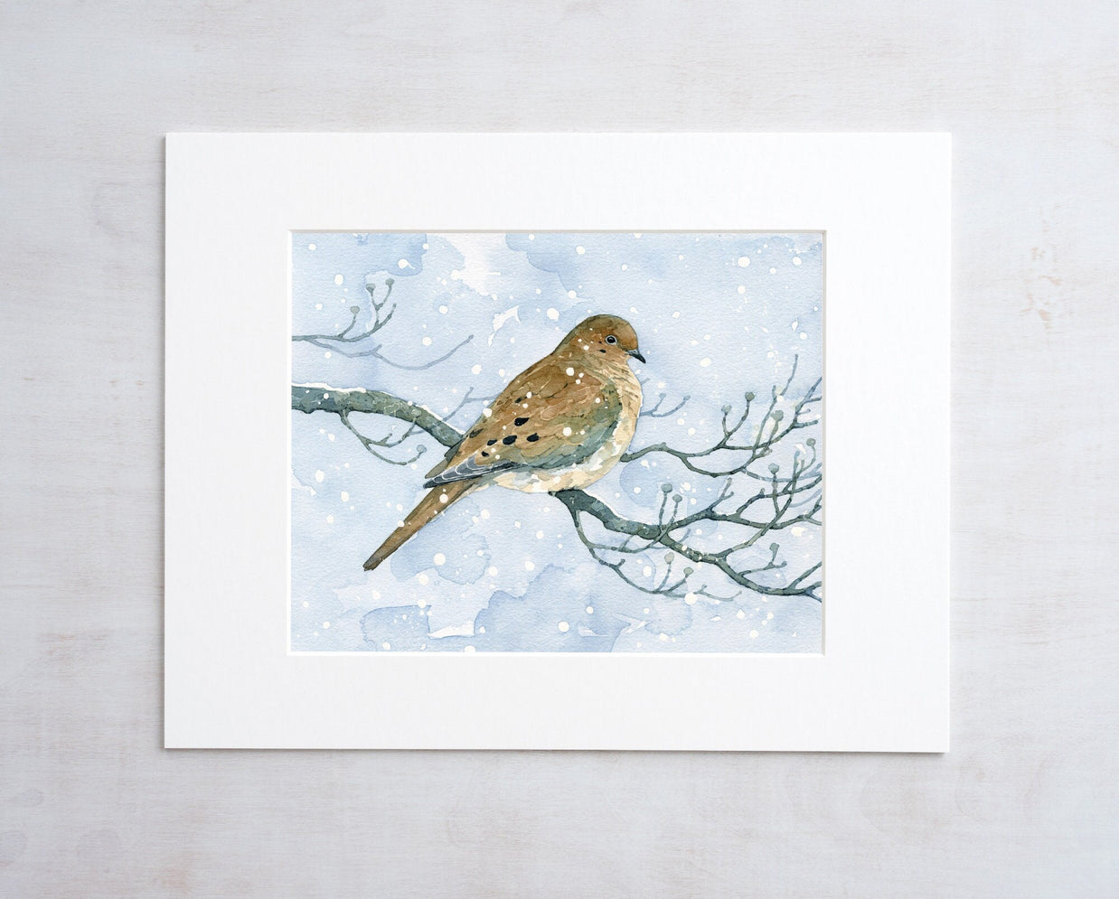 Mourning Dove On Dogwood in Snow Watercolor Print