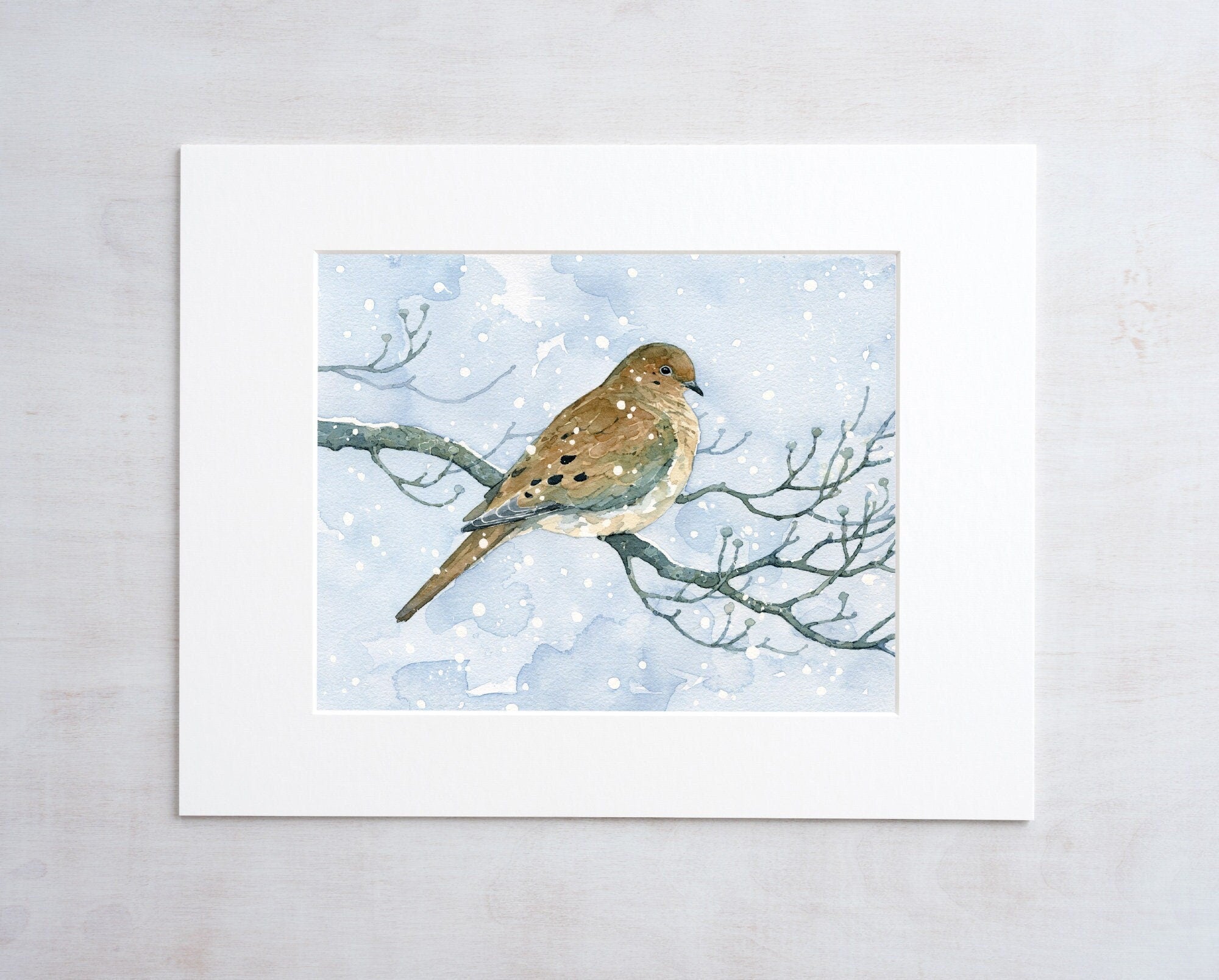 Mourning Dove On Dogwood in Snow Watercolor Print