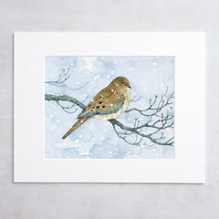 Mourning Dove On Dogwood in Snow Watercolor Print