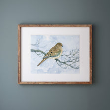 Mourning Dove On Dogwood in Snow Watercolor Print